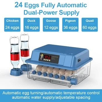 24 Kiaušiniai Inkubatoriuje Su Stalčių Tipo Mini Kiaušinių Inkubatorius Su Automatiniu Vandens Joninių Vandens Telkinys Papildymo Ir Temperatūros Kontrolės
