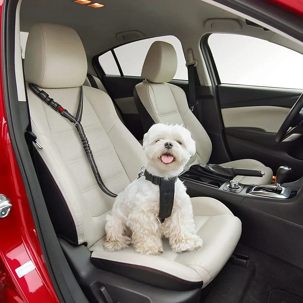 Veda Reguliuojamas Pet Saugos Apykaklės Diržas Elastinga Diržo Tvirtinimo Sėdynės Šuo Automobilių Pagalvėlės sėdynė dirželio Bungee Su Šunimis Reflective - 5