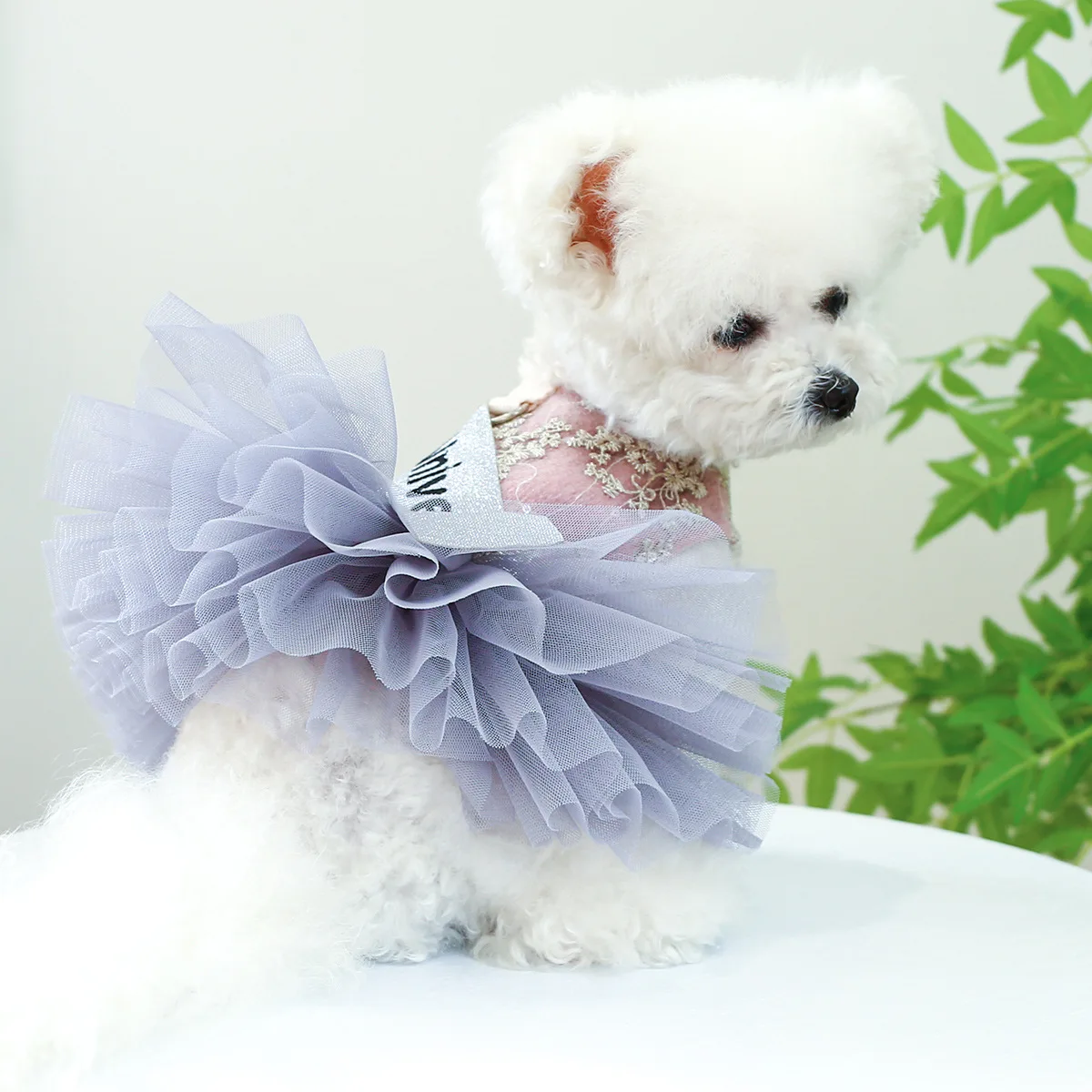 Prabangus Šunų Žiemos Suknelės Princesė Vestuvių Mažylis Suknelė Maži Šunys 